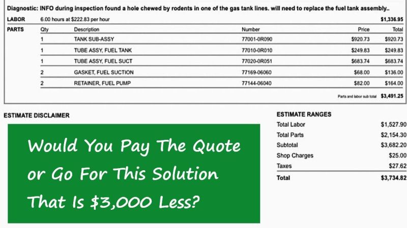 Toyota Rav4 Owner Shocked by Mouse Damaged Part