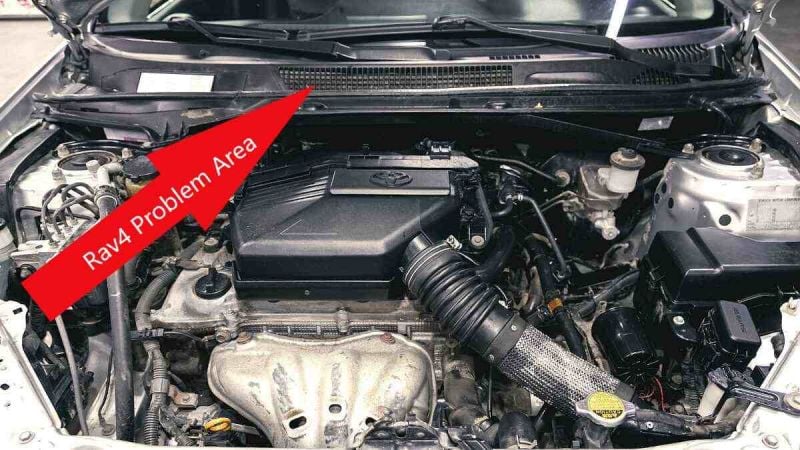 Toyota Rav4 Rodent Removal Advice