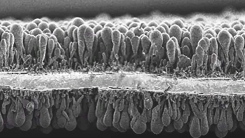 Amprius Battery Is Most Energy Dense Battery: Could Accelerate eVTOL Production