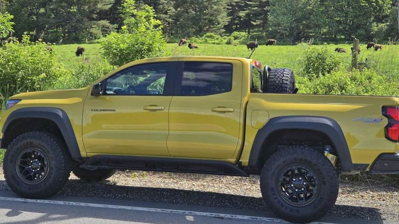 Image of 2024 Chevy Colorado ZR2 Bison with actual bison by John Goreham