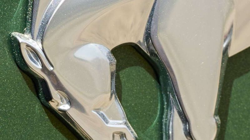 2022 Bronco Logo On Eruption Green Bronco