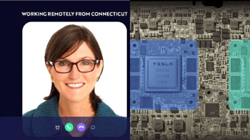 Cathie Wood of Ark Invest siates Tesla's switch from radar to vision for autonomy improvement