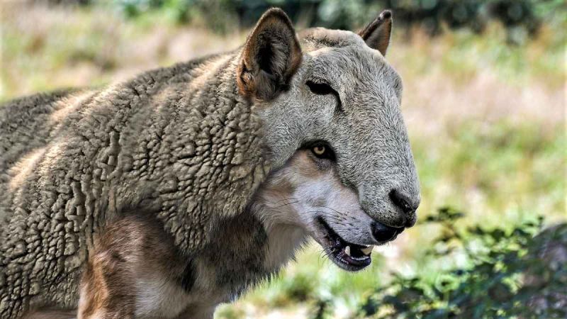 Dealership Practices Car Buyers Hate