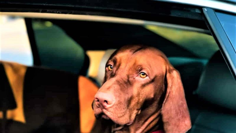 It Feels Like a Friday