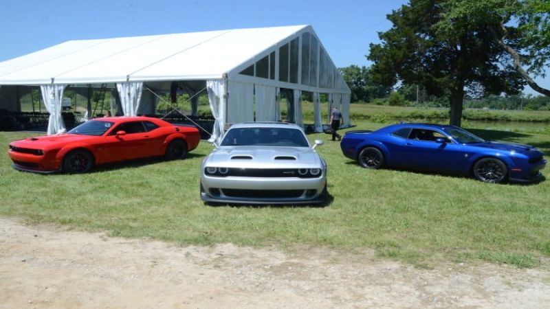 Three 2019 Dodge Challenger Models