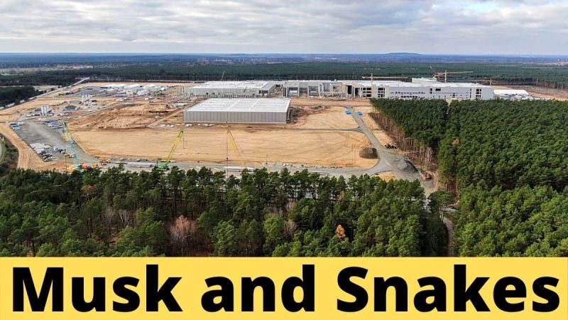 Elon Musk and Tesla Giga Berlin's Snakes