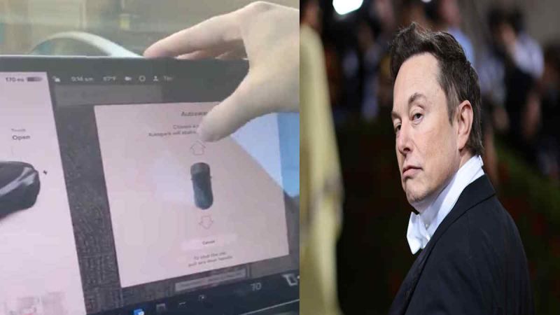 Elon Musk Says, "Really Cool Stuff Coming Next Month" In Regard To Question, "Any Updates On Progress For Vision Only Tesla's?"