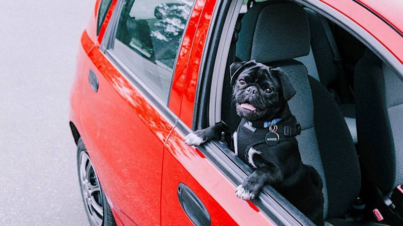 Friends and Family Used Car Picks from Consumer Reports