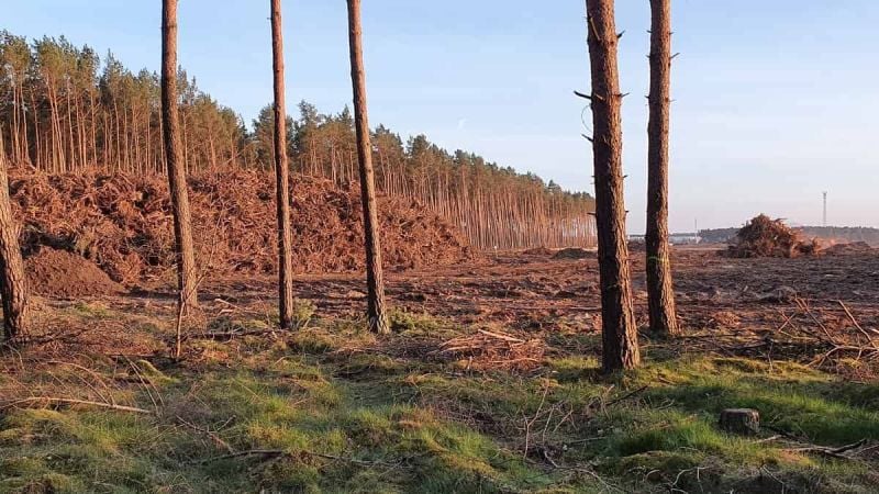 Tesla Giga Berlin Construction Site