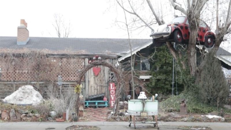 granny's tree beetle