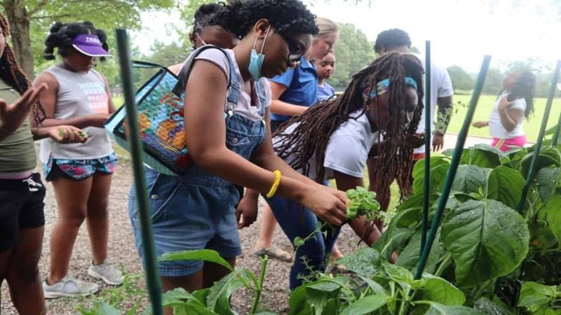 Lone Oaks Farm Project, A Ford Investment for the future