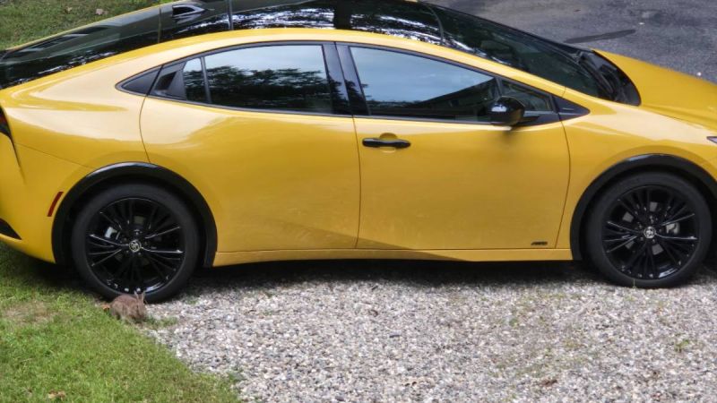 2025 Toyota Prius side view next to a bunny eating grass