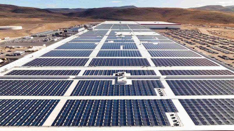 Tesla and BYD Near Deal to Produce EVs in Indonesia With Minister Statement