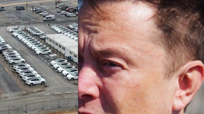 Tesla China new insurance registrations and Elon Musk