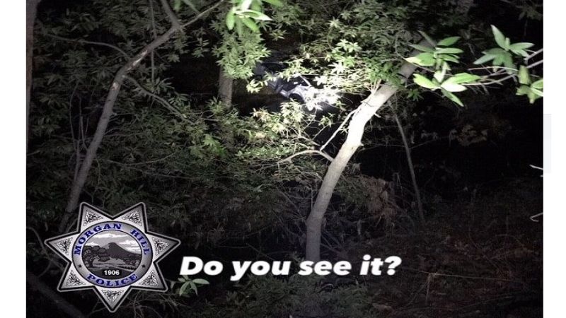 Tesla driver arrested in Model 3 crash.