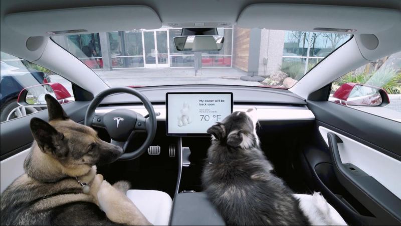 Tesla Dog Mode
