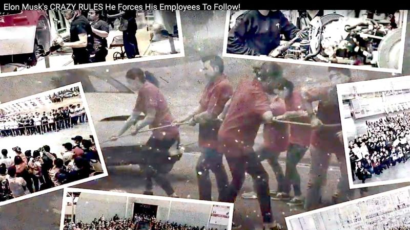 MusK's rules of employment.