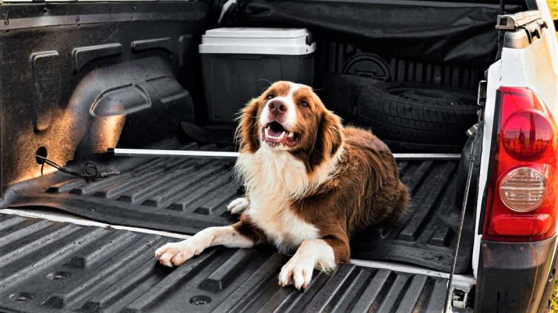 Trucks Rated as Most Satisfying in 2022