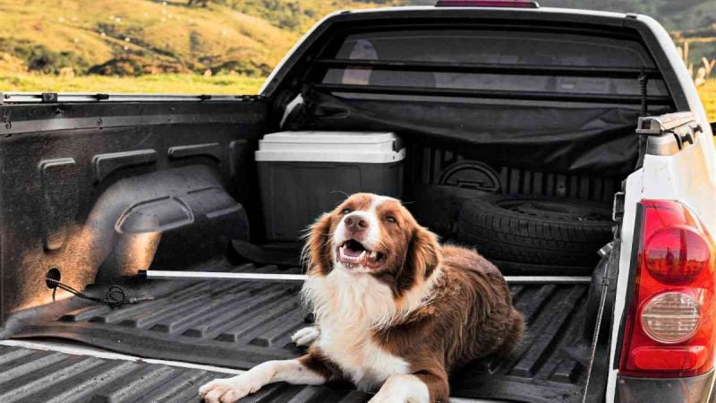 Used Truck Recommendations by CR Analysts