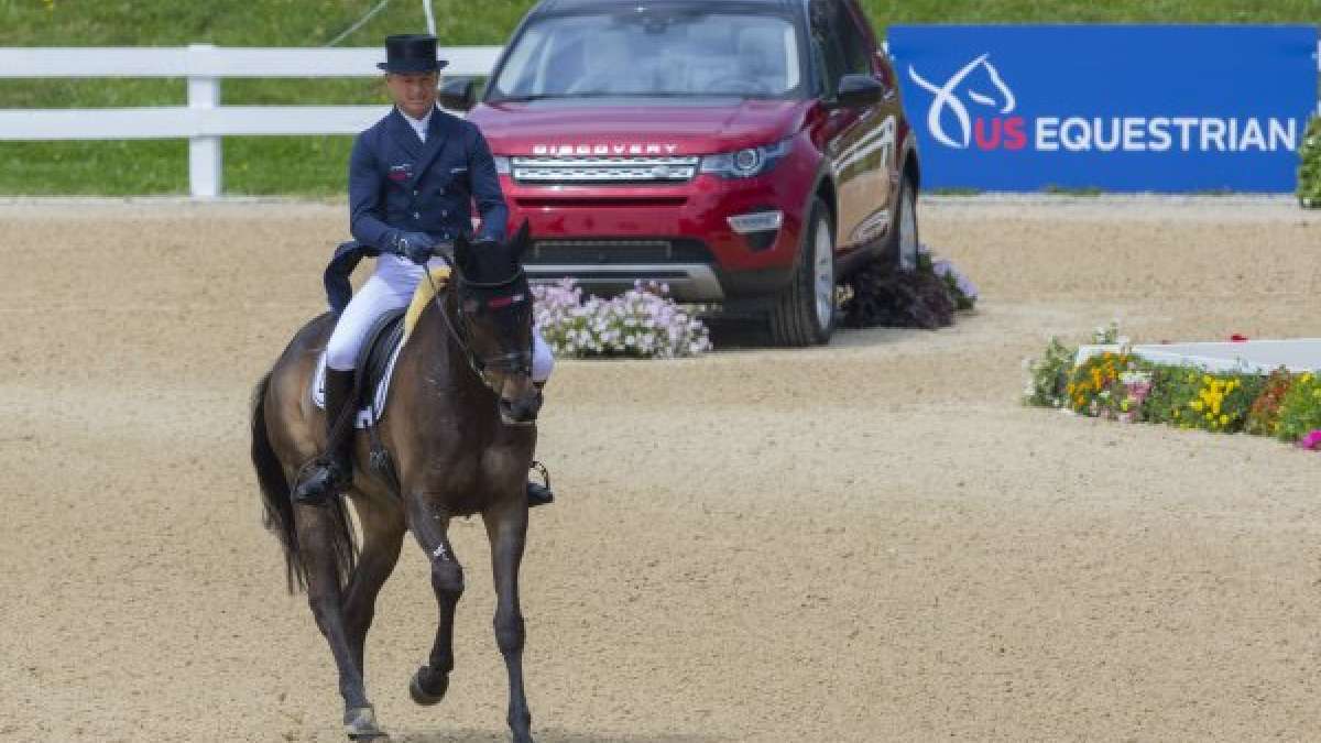 jung dressage