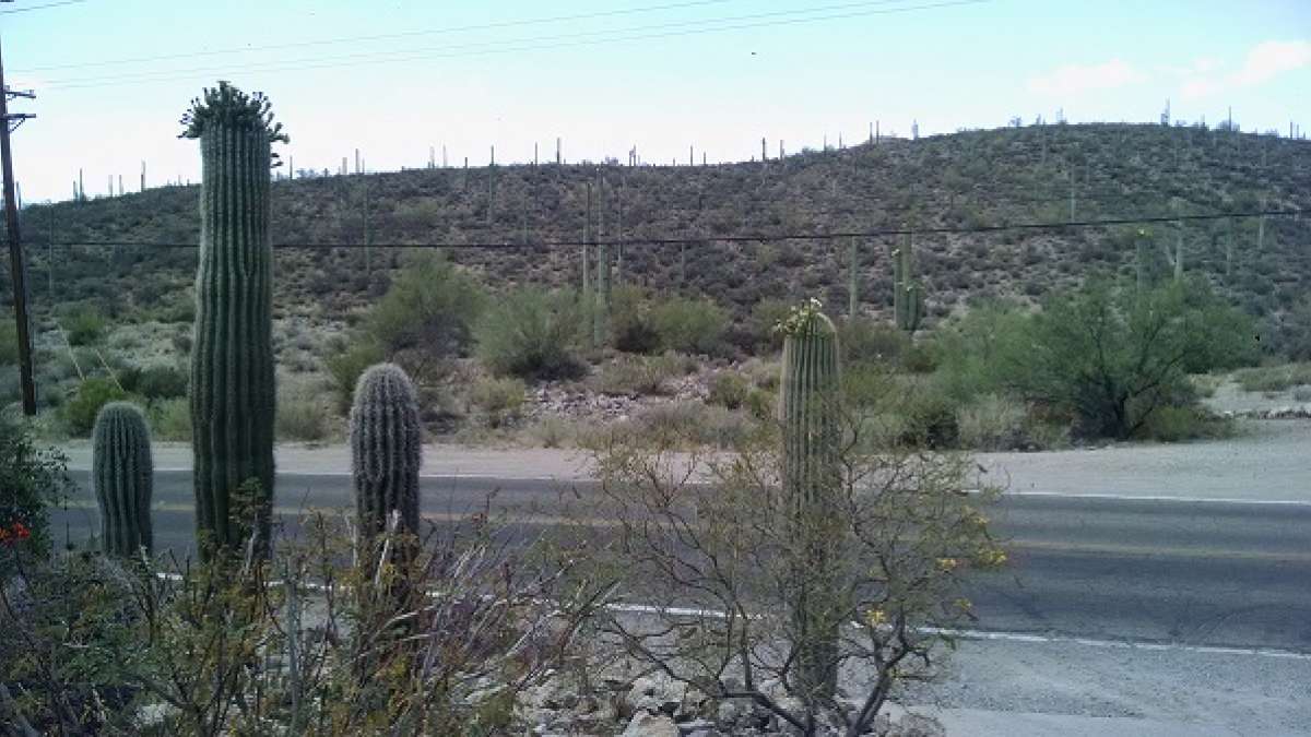 Desert_Run_RDX