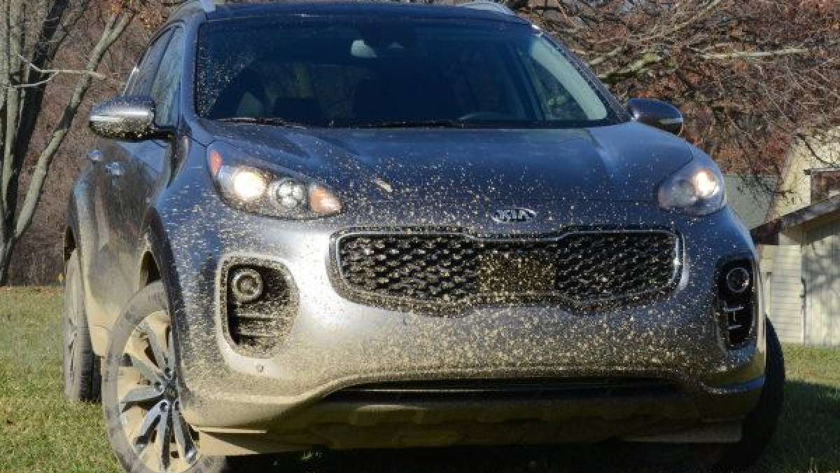 17 sportage ex fr