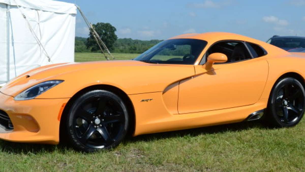 Yorange Viper