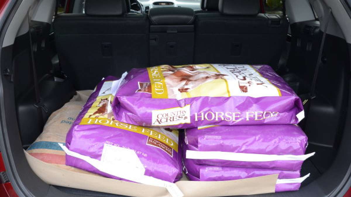 sorento cargo