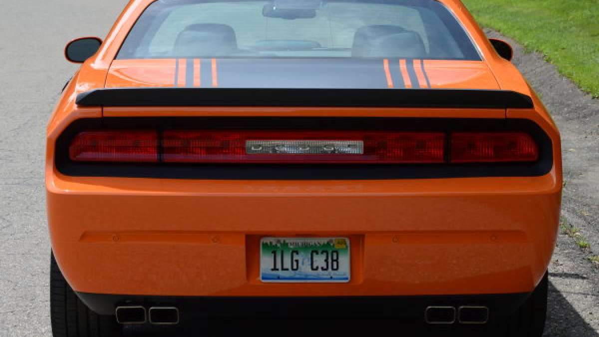 shaker rear close