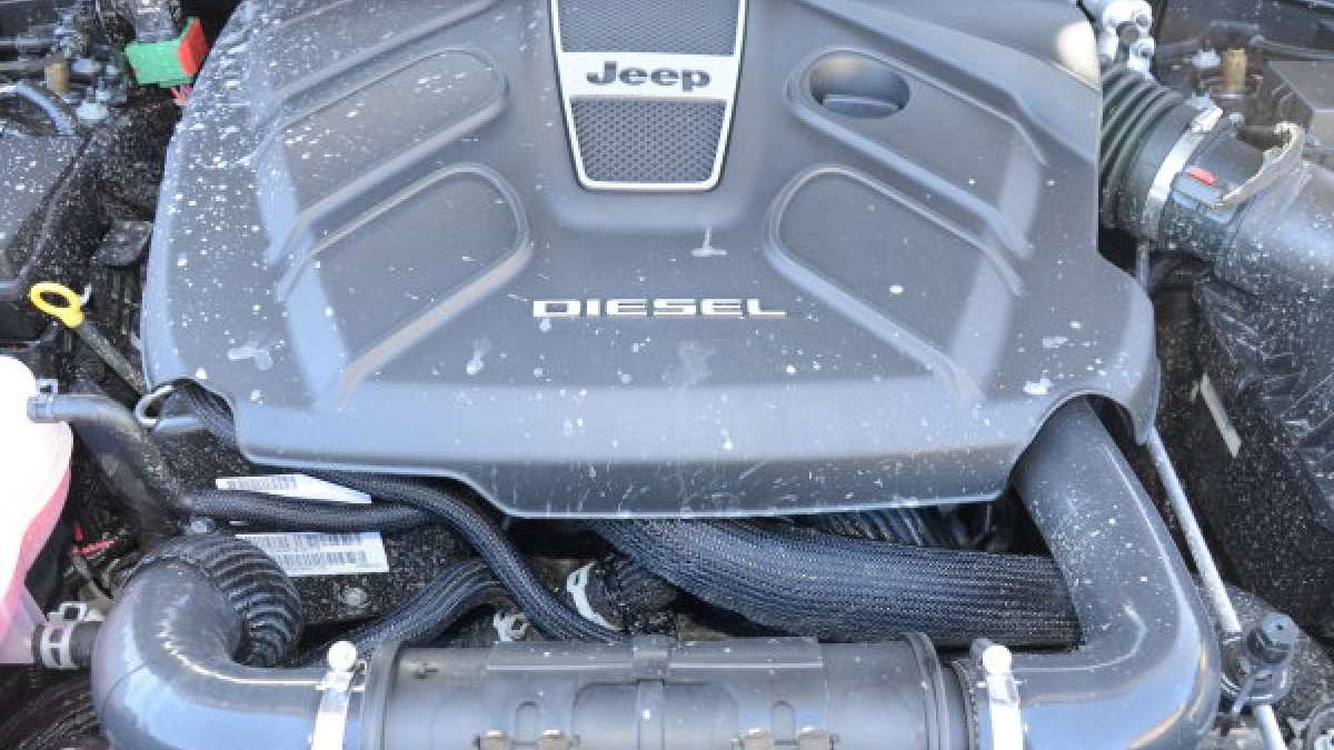 ecodiesel muddy