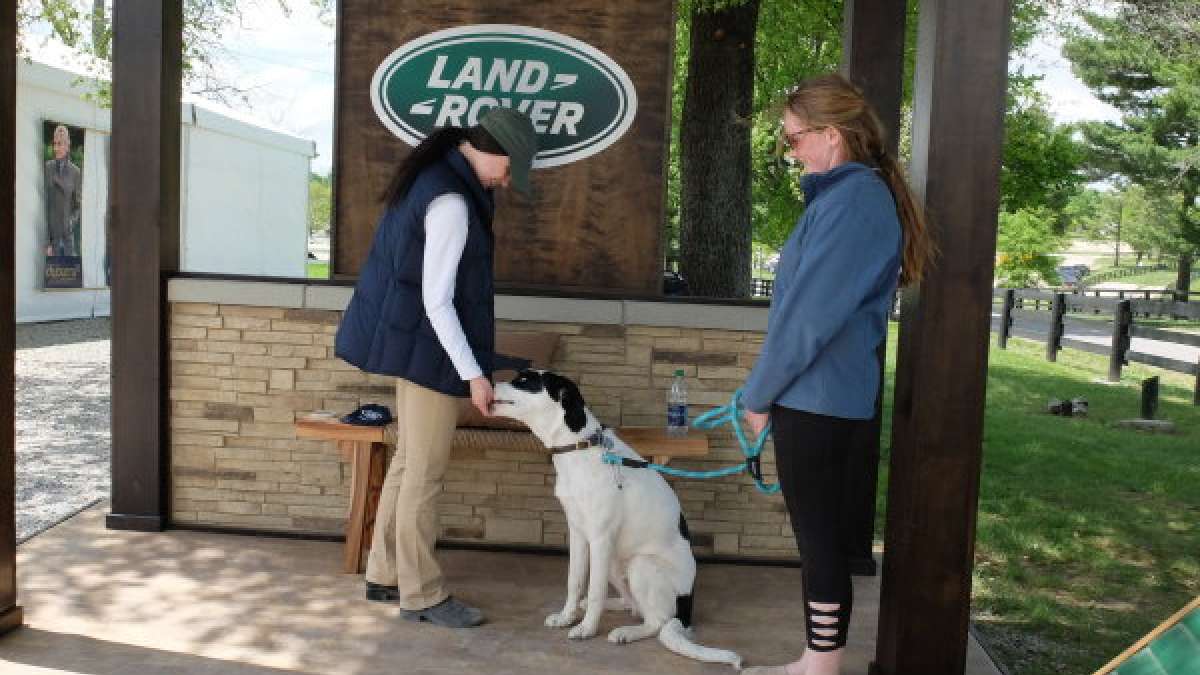 dog park lr