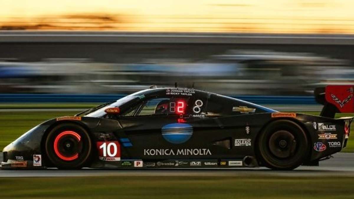 wayne taylor corvette