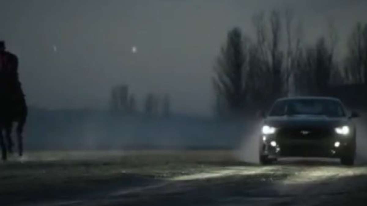 year of the horse mustang video still