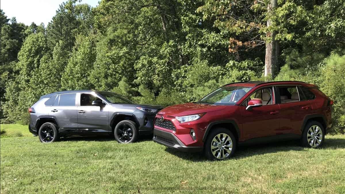 2019 Toyota RAV4 XLE Premium Ruby Flare Pearl