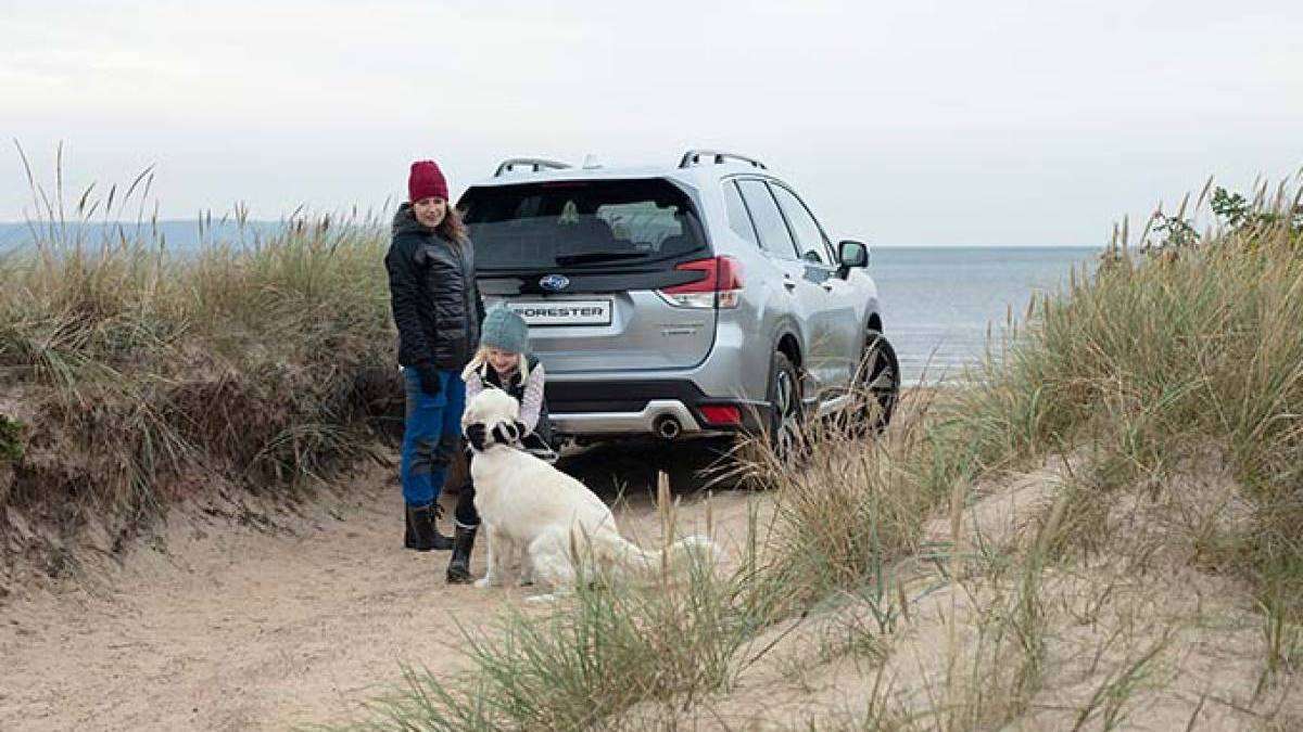 2023 Subaru Forester
