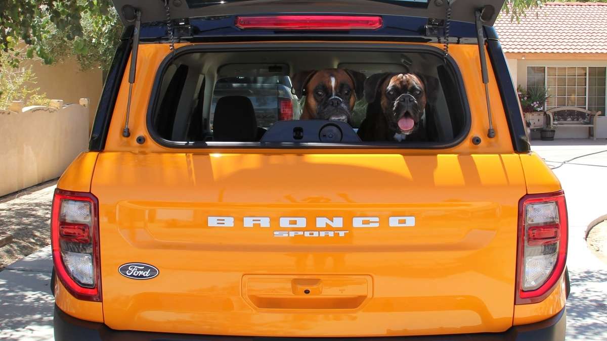 Ford Bronco Sport Is a Dog Owner's Dream, Especially the Badlands