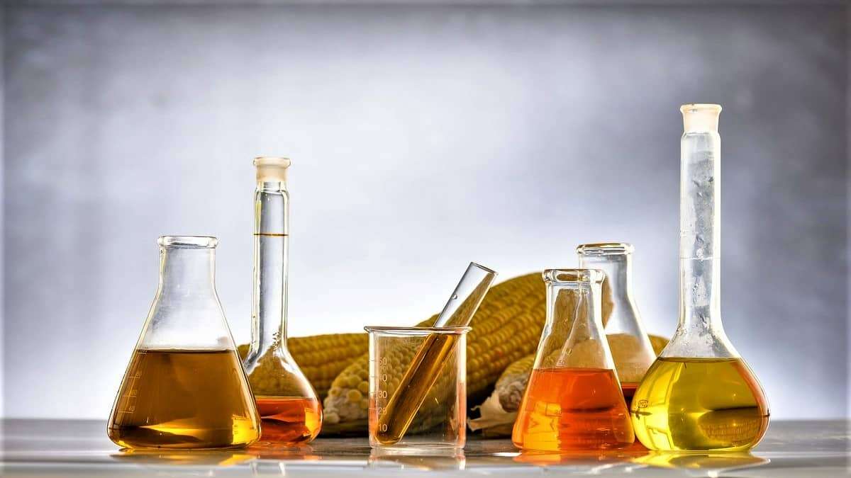 Corn Might Be the Wring Biofuel Source Says Study