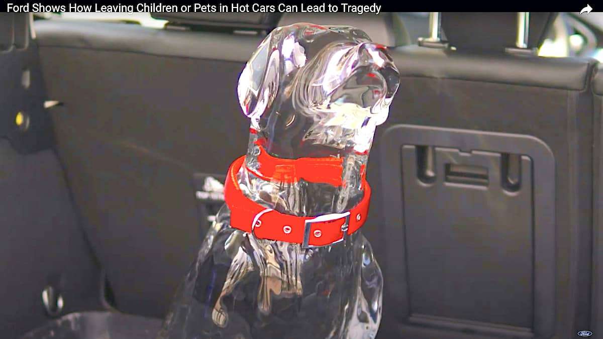Ford video raises hot car death awareness