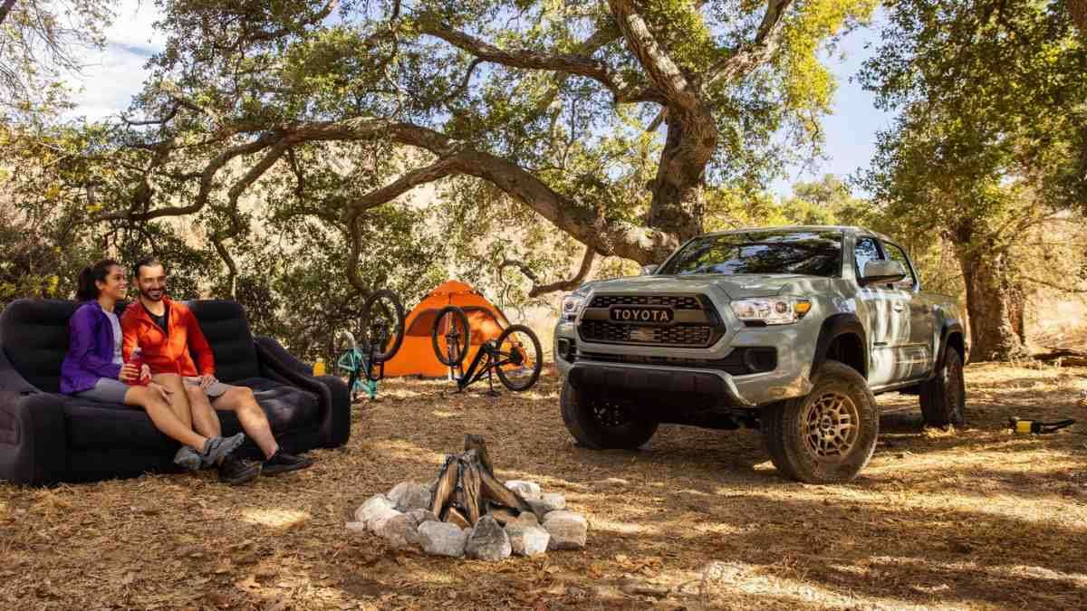 Here’s What You Can Do to Make Your 2023 Toyota Tacoma More “Pet Friendly”