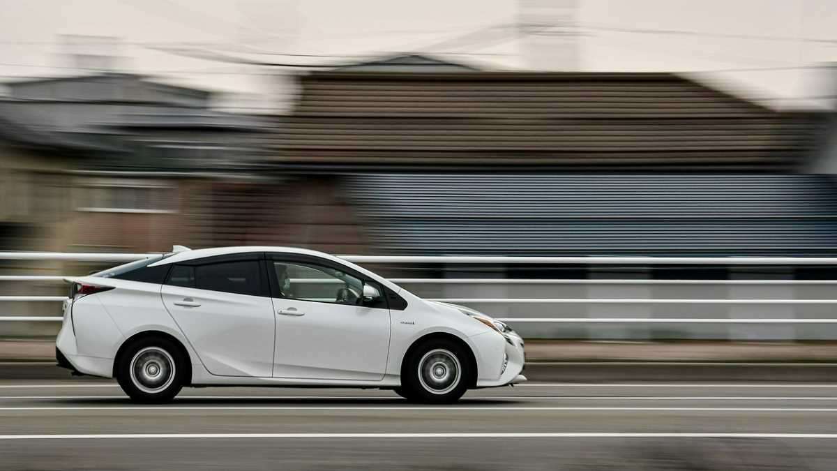 Best of the Best Hybrids