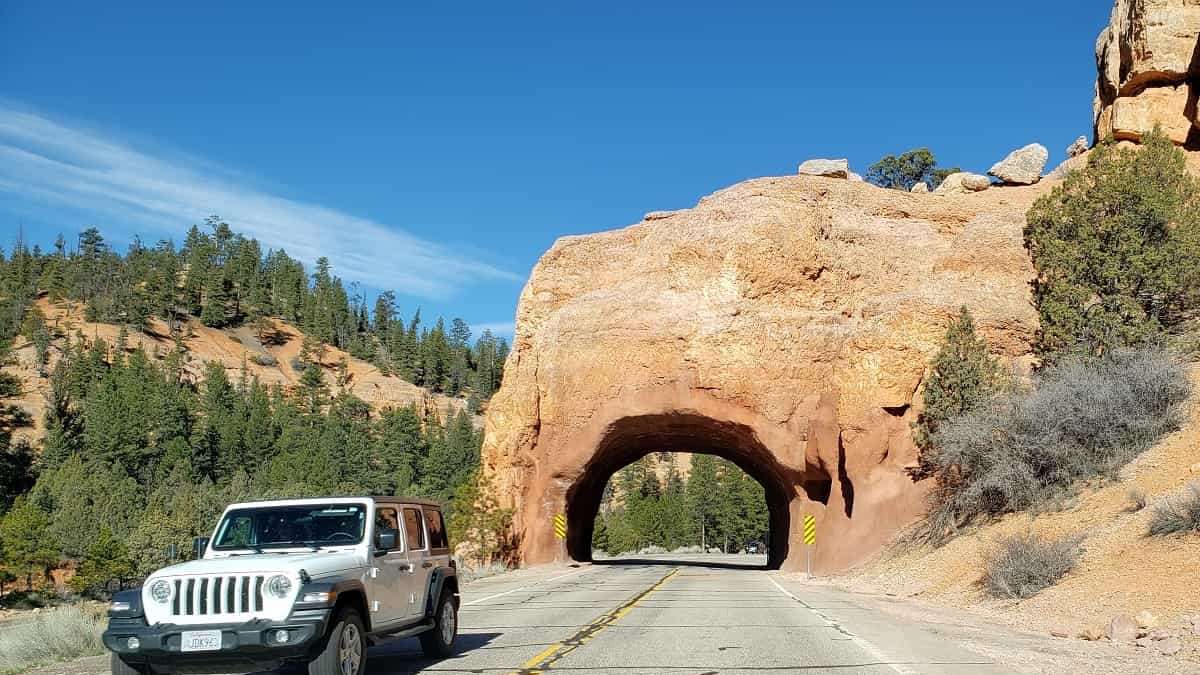 Tell us about your road trip.