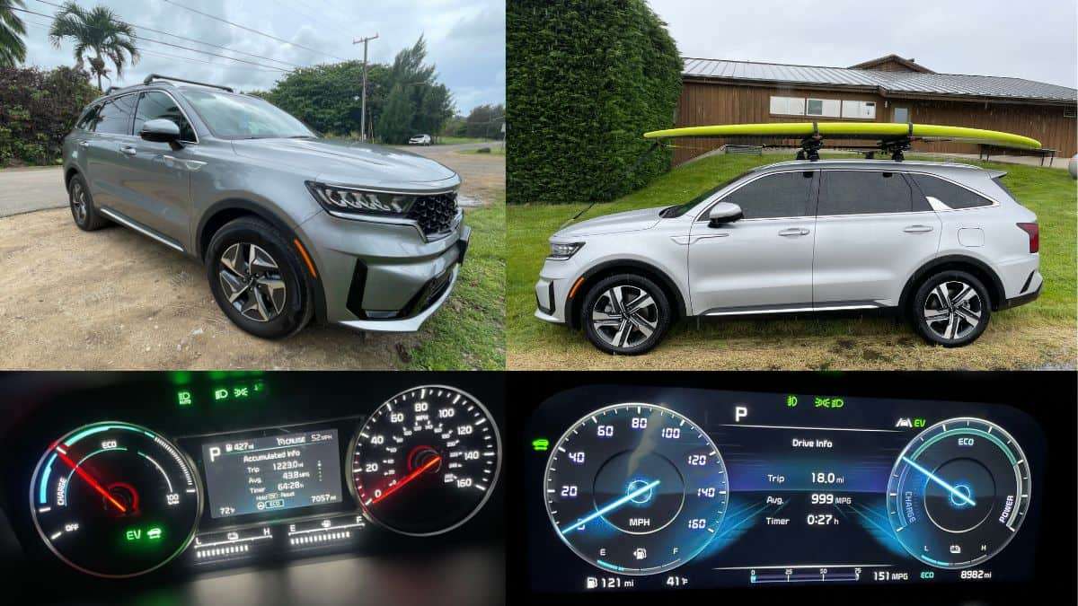 Kia Sorento Hybrid Ex and PHEV SX-P side by side