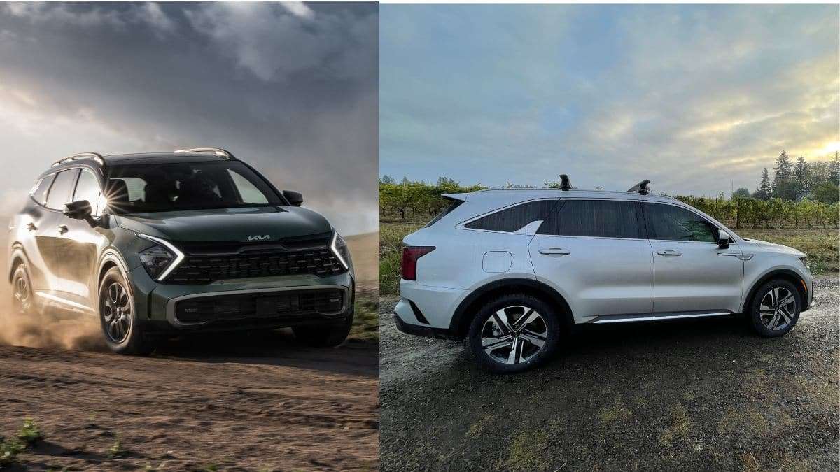 Kia Sportage and Kia Sorento side by side