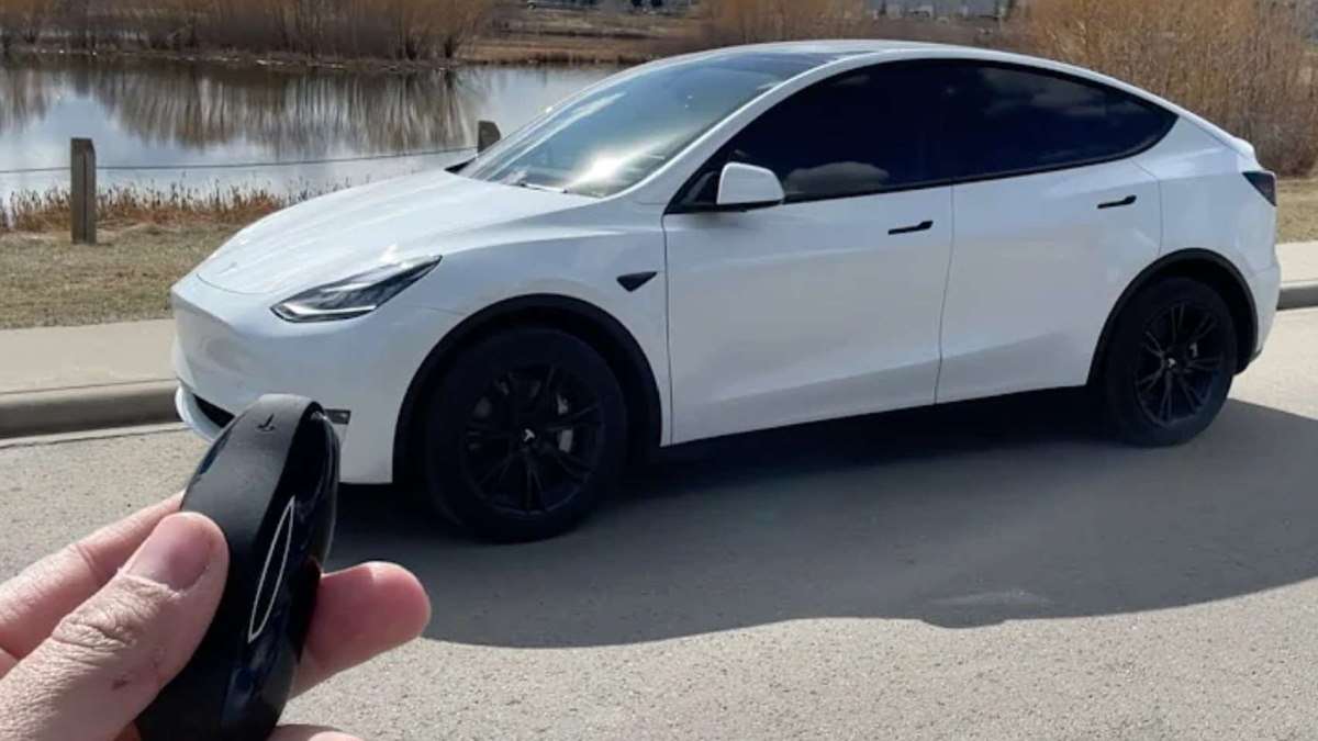 Tesla Experienced Outage Elon Musk Responded