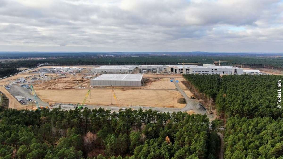Tesla Giga Berlin Gets New Permit To Clear Forest