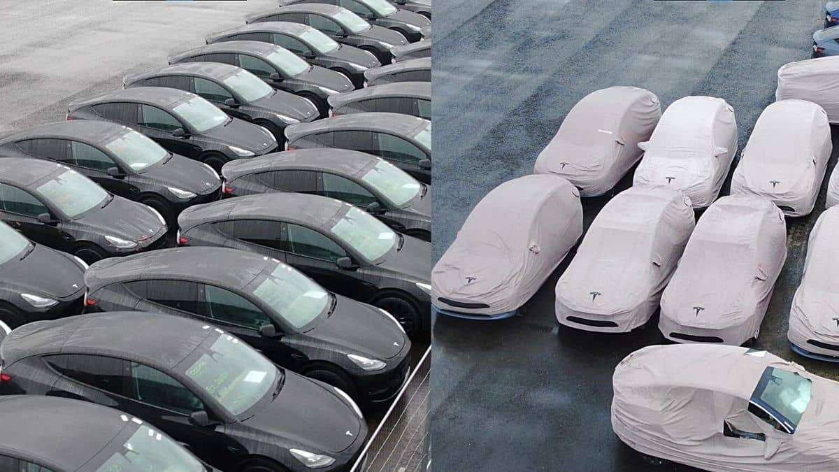Tesla Giga Berlin Model Model Ys To Pickup Elon Musk at The Airport