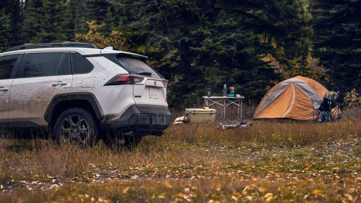 The Gap Between Your Headlight and Hood on the 2022 Toyota RAAV4 Hybrid is Not a Toyota Mistake