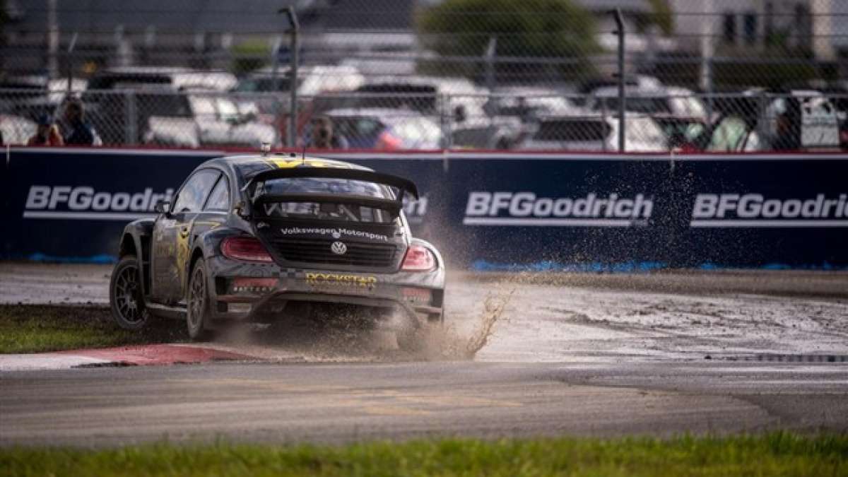 Beetle GRC