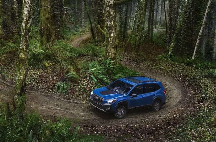2022 Subaru Forester, 2022 Subaru Forester Wilderness, features, specs