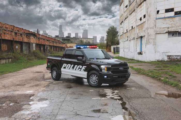 2020 Ford F-150 police